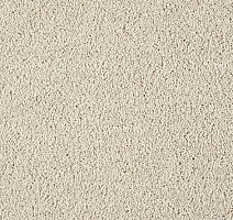 Ковролин Lano Lounge 221 Acorn фото 1 | FLOORDEALER