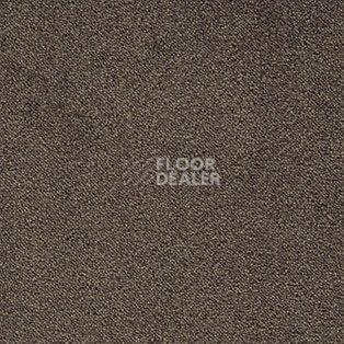 Ковролин AW Confidence 44 фото 1 | FLOORDEALER