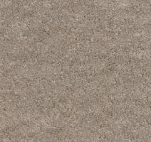 Ковролин AW Obsession 34 фото 1 | FLOORDEALER