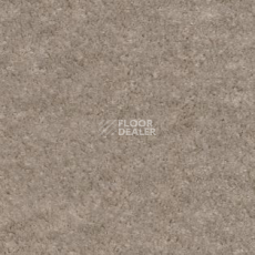 Ковролин AW Obsession 34 фото 1 | FLOORDEALER