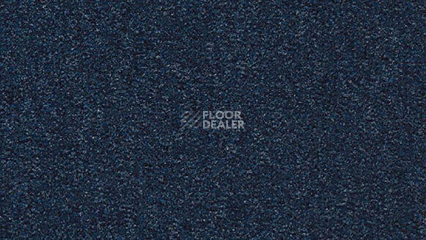 Ковролин Vorwerk Passion 1044 Vorwerk 3p51 фото 1 | FLOORDEALER