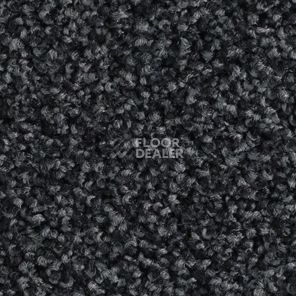 Ковролин Balsan Les Must Les Must 990 фото 1 | FLOORDEALER