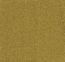 Ковролин AW Emerald 50 фото 1 | FLOORDEALER