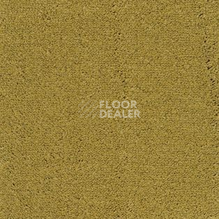 Ковролин AW Emerald 50 фото 1 | FLOORDEALER