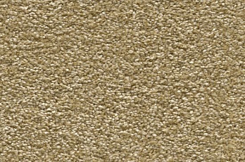 Vorwerk Amiru 2d53 фото 1 | FLOORDEALER