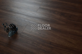 Evofloor Optima Click 4.2мм Орех Американский фото 5 | FLOORDEALER