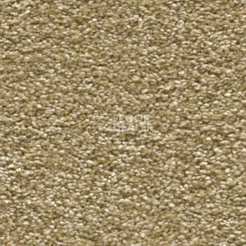 Ковролин Vorwerk Amiru 2d53 фото 1 | FLOORDEALER