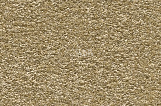 Ковролин Vorwerk Amiru 2d53 фото 1 | FLOORDEALER