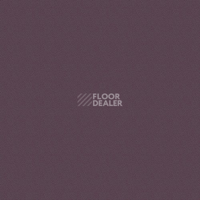 Ковролин Agnella Creation Kasjop Aubergine фото 1 | FLOORDEALER