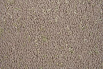 Innova Галактика Бежевый Контраст фото 3 | FLOORDEALER