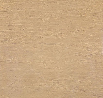 Линолеум Tarkett Alfa Standard Alfa 105 фото 1 | FLOORDEALER