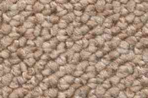 Ковролин Dura Loop 241 фото  | FLOORDEALER