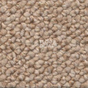 Ковролин Dura Loop 241 фото 1 | FLOORDEALER