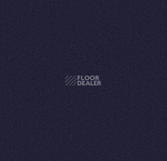 Ковролин Forbo Showtime Nuance 900217 фото 1 | FLOORDEALER