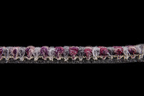 Escom Groove Groove 2285 фото 3 | FLOORDEALER