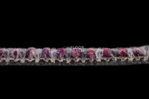 Escom Groove Groove 2285 фото 3 | FLOORDEALER