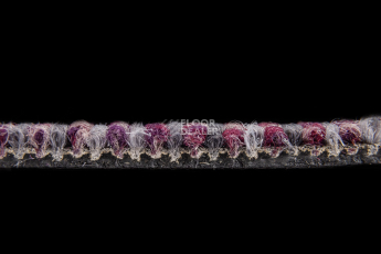 Escom Groove Groove 2285 фото 3 | FLOORDEALER