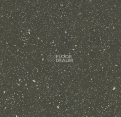 Линолеум Forbo SafeStep R11 174282 dragon фото 1 | FLOORDEALER