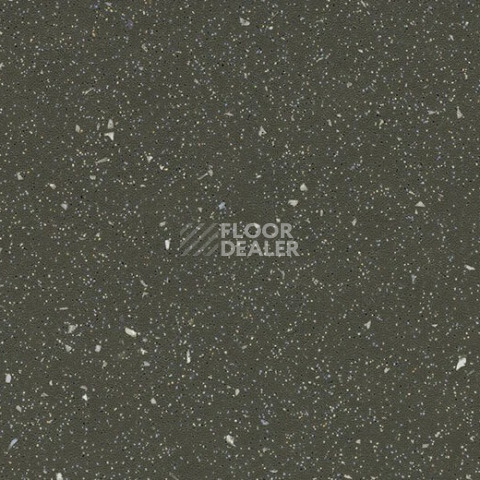 Forbo SafeStep R11 174282 dragon фото 1 | FLOORDEALER