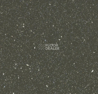 Линолеум Forbo SafeStep R11 174282 dragon фото 1 | FLOORDEALER