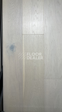 Инженерная доска Alpine Floor Studio Дуб Марципан Ew 200-02 фото 1 | FLOORDEALER