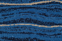 Innova Мираж q 488 06 фото 2 | FLOORDEALER