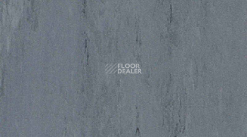 Линолеум Mipolam Robust El7 0013 фото 1 | FLOORDEALER