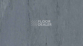Линолеум Gerflor Mipolam Robust El7 0013 фото 1 | FLOORDEALER