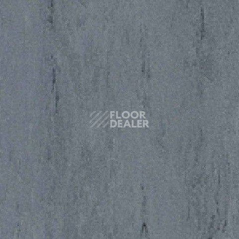 Линолеум Gerflor Mipolam Robust El7 0013 фото 1 | FLOORDEALER