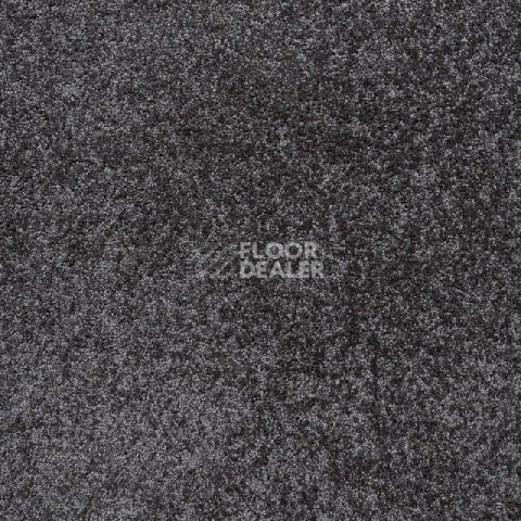 Ковролин Tarkett Capri Capri 34883 фото 1 | FLOORDEALER
