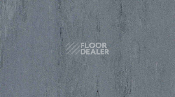 Линолеум Gerflor Mipolam Robust El7 0013 фото 1 | FLOORDEALER