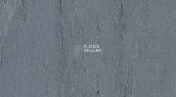 Линолеум Mipolam Robust El7 0013 фото 1 | FLOORDEALER