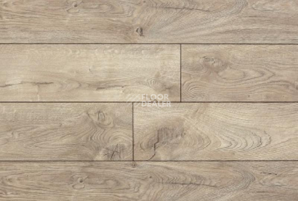 Ламинат My Step Fortis MS912 Дуб Ватикан Вайд фото 1 | FLOORDEALER