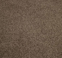 Ковролин Haima Noble 67 фото 1 | FLOORDEALER