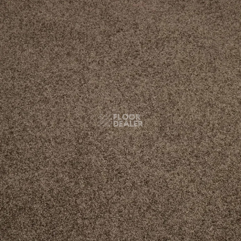 Ковролин Haima Noble 67 фото 1 | FLOORDEALER