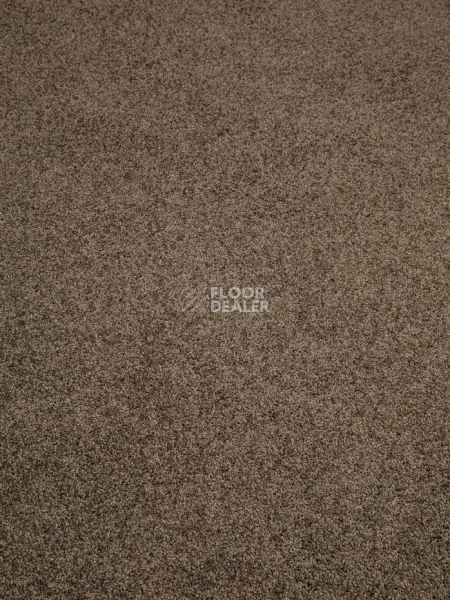 Ковролин Haima Noble 67 фото 1 | FLOORDEALER