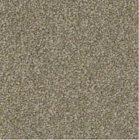 Ковролин Haima Stepway x 4453 фото 1 | FLOORDEALER