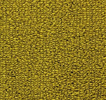 Ковролин Edel Tamino 154 фото 1 | FLOORDEALER