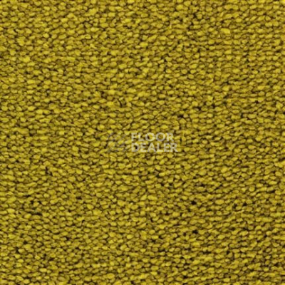 Ковролин Edel Tamino 154 фото 1 | FLOORDEALER