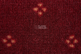 Haima Chic 01 фото 3 | FLOORDEALER