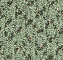 Ковролин Balsan Lounge Lounge 240 фото 1 | FLOORDEALER