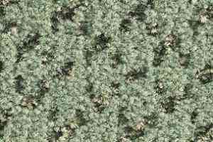 Ковролин Balsan Lounge Lounge 240 фото  | FLOORDEALER