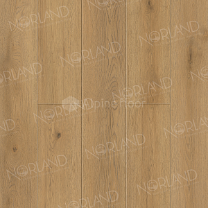 Виниловая плитка ПВХ Norland Sigrid Plus 4мм Blake 1006-10 фото ##numphoto## | FLOORDEALER