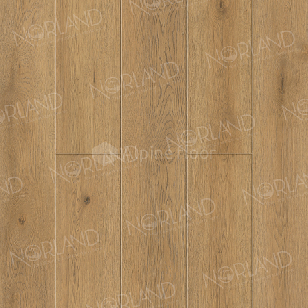 Norland Sigrid Plus 4мм  Blake 1006-10