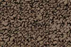 Ковровая плитка Desso Fields 2934 фото  | FLOORDEALER