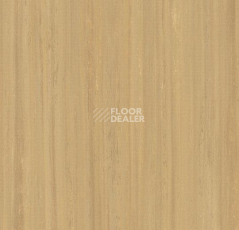 Кварцвиниловые полы Marmoleum Modular Lines 5234 фото 1 | FLOORDEALER