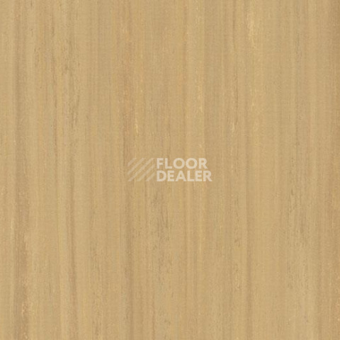 Кварцвиниловые полы Forbo Marmoleum Modular Lines 5234 фото 1 | FLOORDEALER