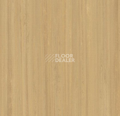 Кварцвиниловые полы Forbo Marmoleum Modular Lines 5234 фото 1 | FLOORDEALER