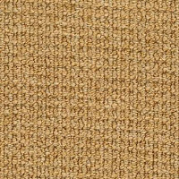 Ковролин Desso Conga 5432 фото 1 | FLOORDEALER