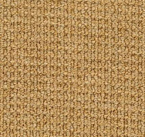 Ковролин Desso Conga 5432 фото 1 | FLOORDEALER